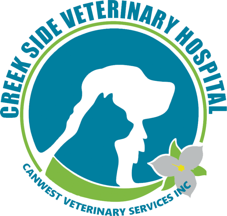 Creekside Veterinary Hospital – Pet Care is our Passion