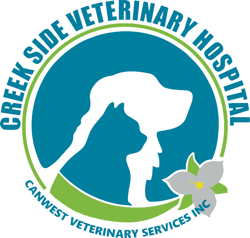 Creekside Veterinary Hospital – Pet Care is our Passion